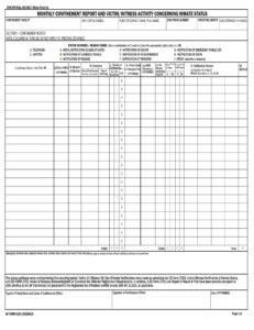 AF Form 4289 – Monthly Confinement Report and Victim/Witness Activity ...