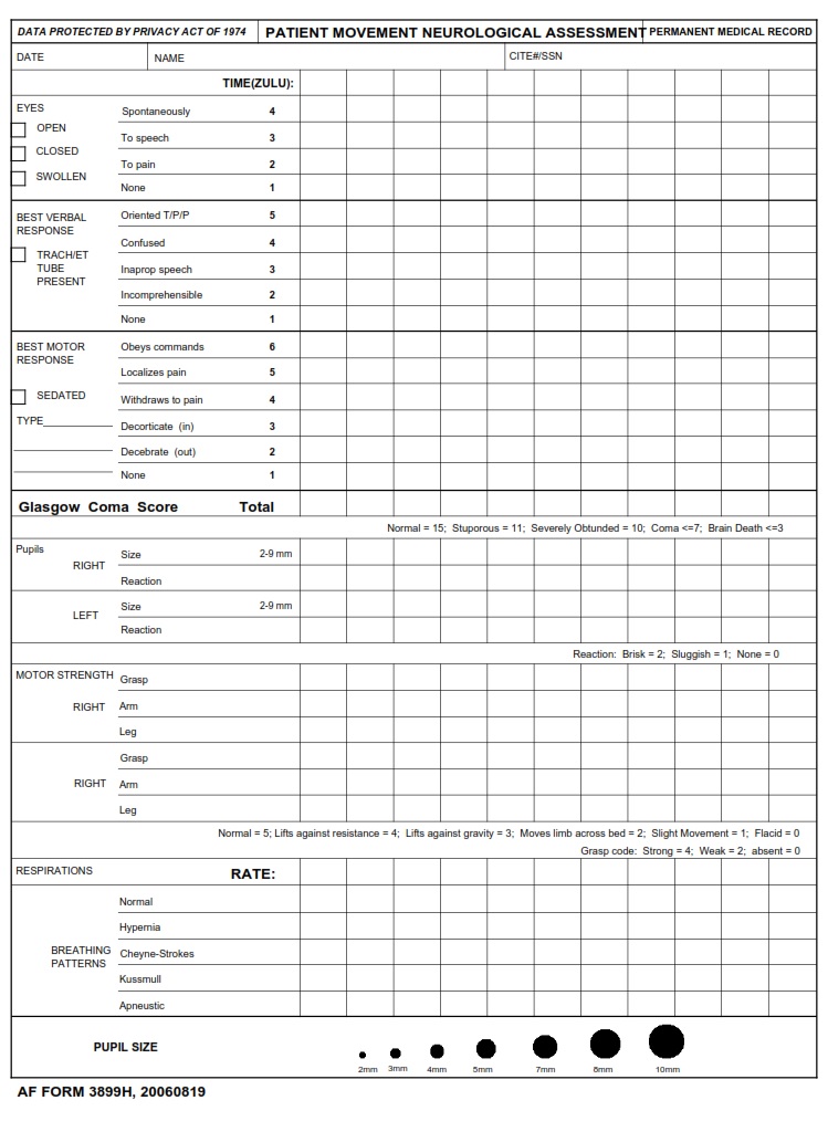 AF Form 3899H Patient Movement Neurological Assessment AF Forms