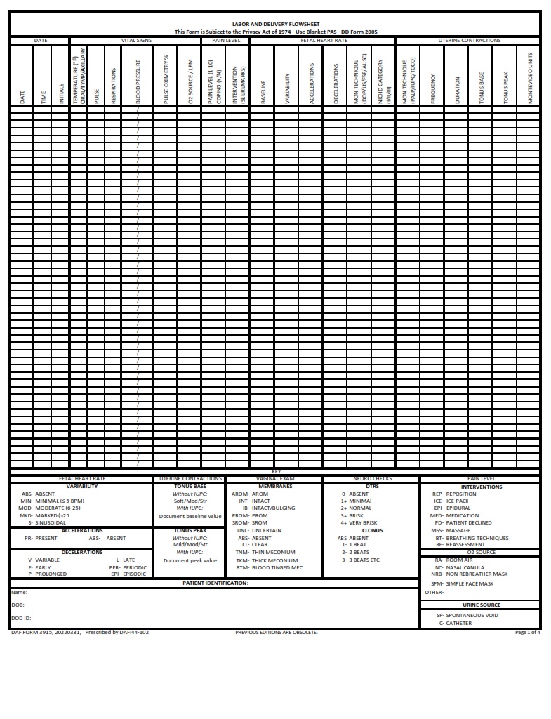 DAF Form 3915 Labor And Delivery Flowsheet DD Form 2005 Privacy Act